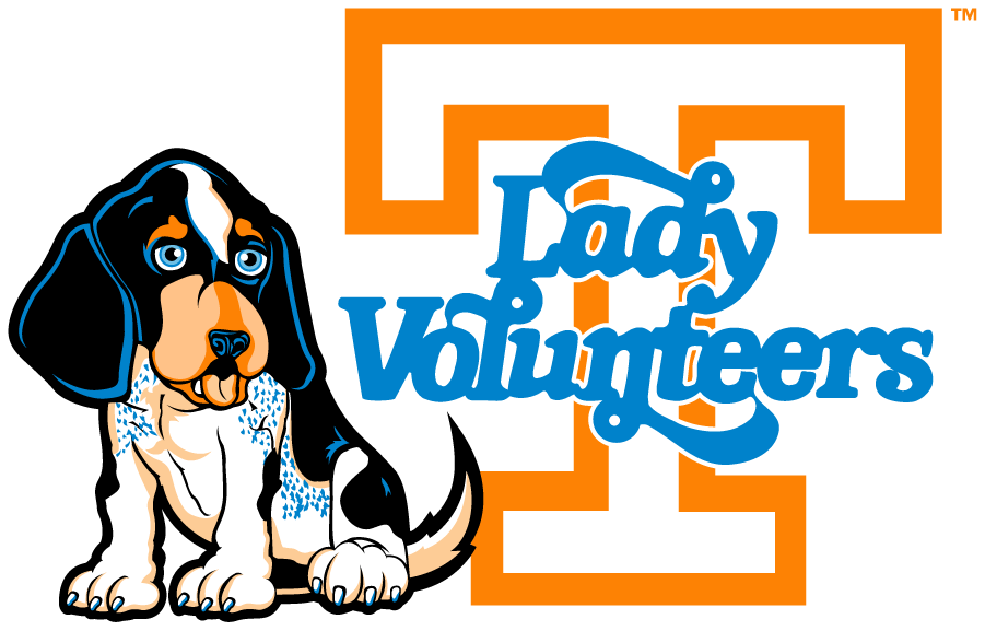 Tennessee Volunteers 2005-2015 Misc Logo diy iron on heat transfer